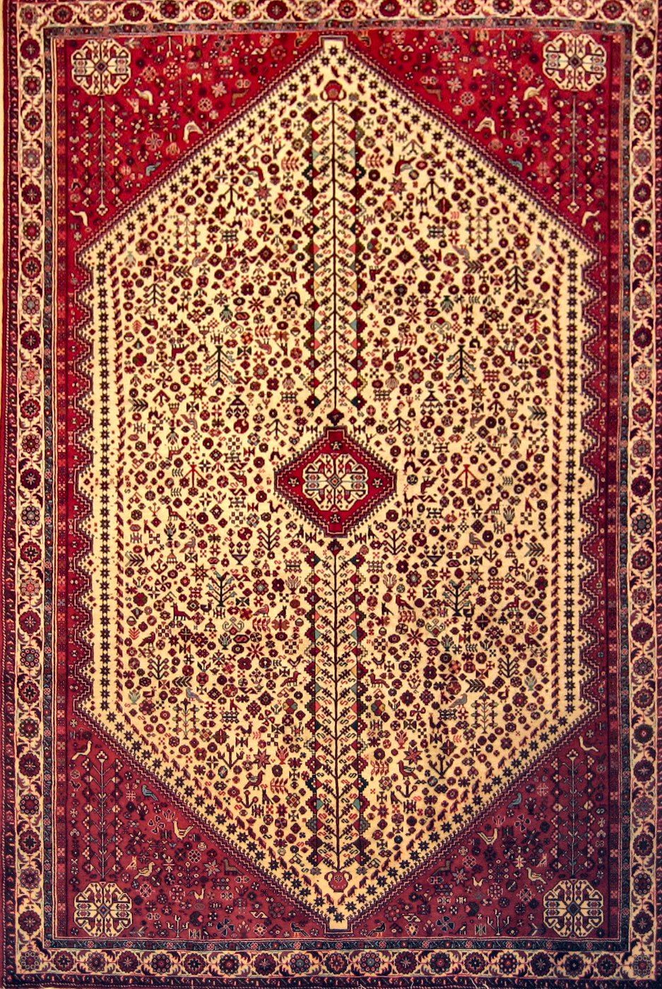 Abadeh Red, 6′7″ × 9′10″