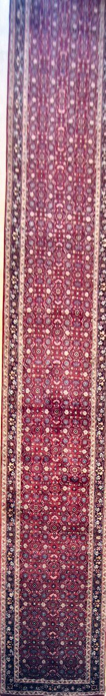 Herati Red / Navy, 2′8″ × 17′5″