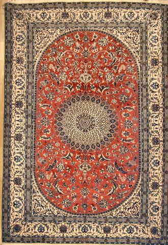 Nain Peach, 6′7″ × 9′7″
