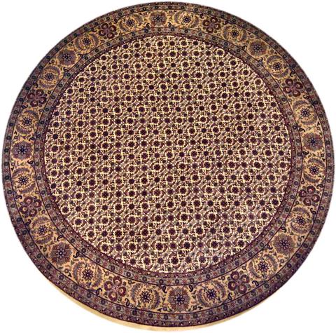 Herati Ivory / Camel, 8′0″ × 8′1″